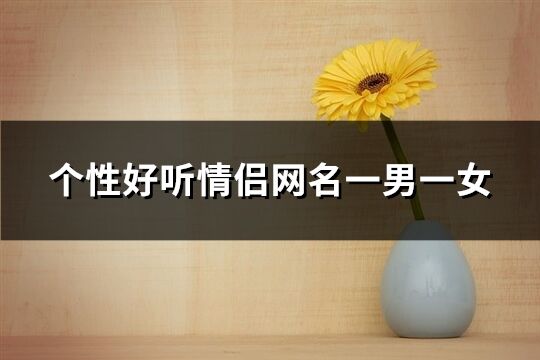 个性好听情侣网名一男一女(优选216个)