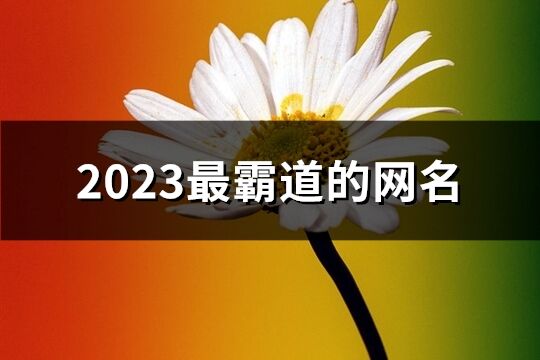 2023最霸道的网名(1205个)