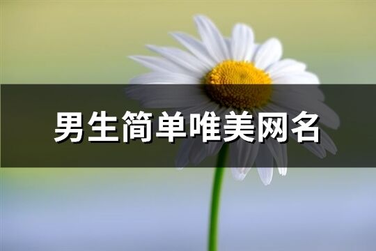 男生简单唯美网名(优选258个)