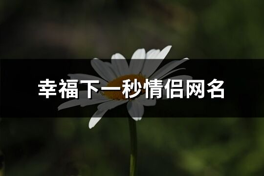 幸福下一秒情侣网名(精选104个)