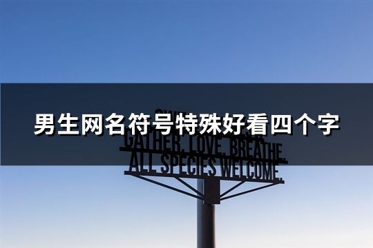 男生网名符号特殊好看四个字(共234个)