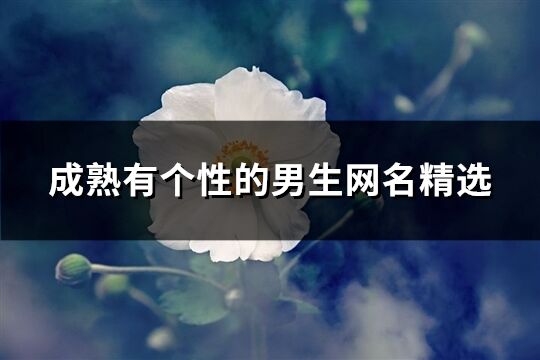 成熟有个性的男生网名精选(优选996个)