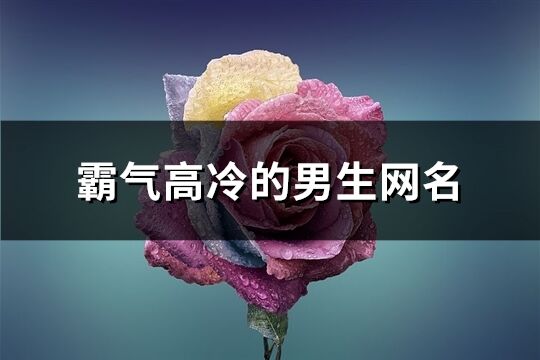 霸气高冷的男生网名(优选342个)
