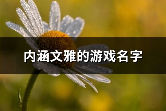 内涵文雅的游戏名字(274个)
