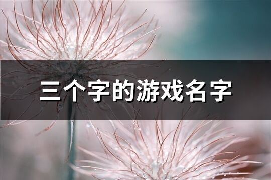 三个字的游戏名字(1264个)