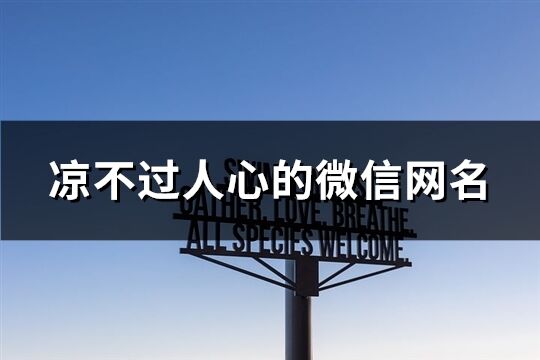 凉不过人心的微信网名(共343个)