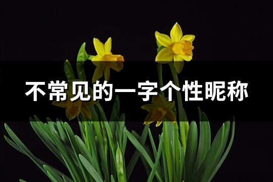 不常见的一字个性昵称(共161个)