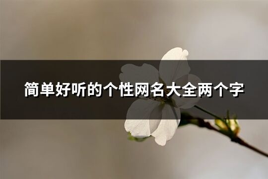 简单好听的个性网名大全两个字(精选2751个)