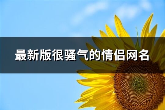 最新版很骚气的情侣网名(优选318个)