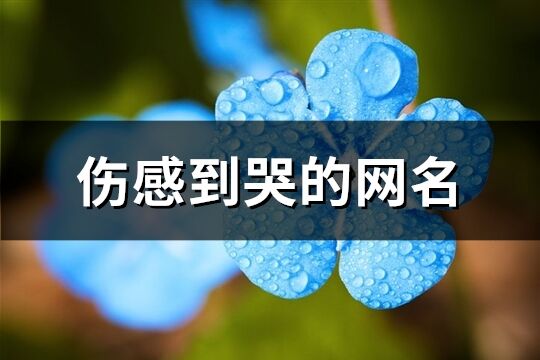 伤感到哭的网名(优选705个)