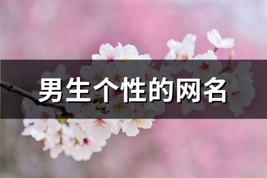男生个性的网名(310个)