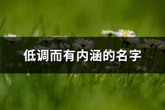低调而有内涵的名字(优选849个)