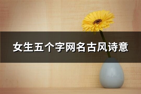 女生五个字网名古风诗意(共218个)