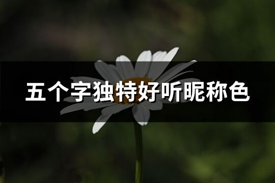 五个字独特好听昵称色(精选976个)