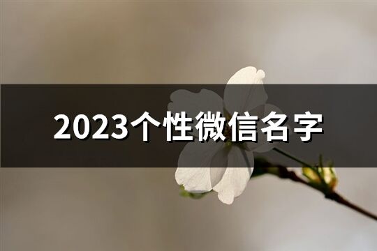 2023个性微信名字(共2728个)