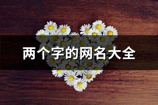 两个字的网名大全(共727个)