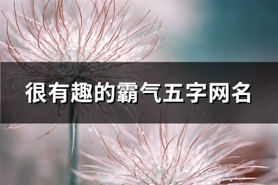 很有趣的霸气五字网名(310个)