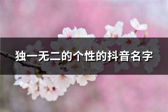 独一无二的个性的抖音名字(优选545个)
