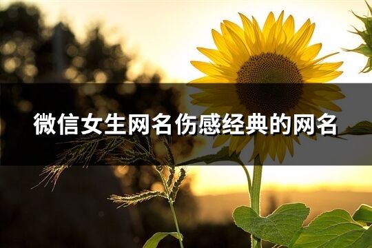 微信女生网名伤感经典的网名(共475个)