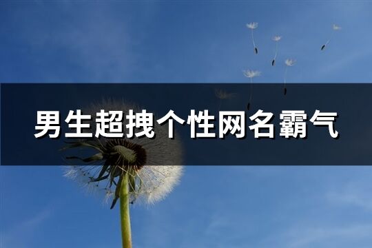 男生超拽个性网名霸气(392个)