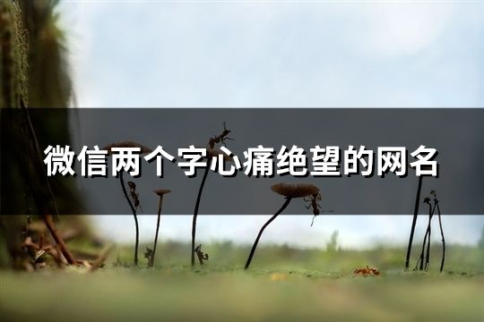 微信两个字心痛绝望的网名(79个)