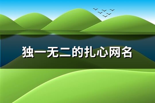 独一无二的扎心网名(235个)