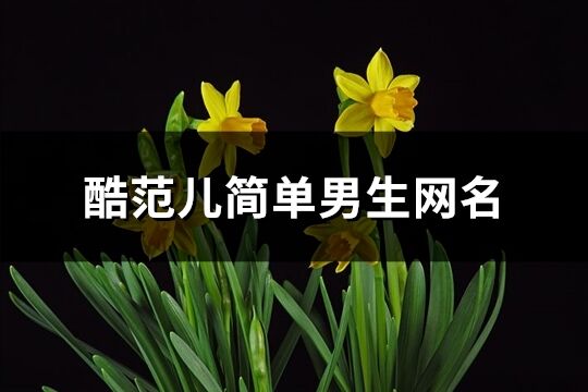酷范儿简单男生网名(共61个)