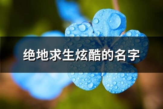 绝地求生炫酷的名字(优选273个)
