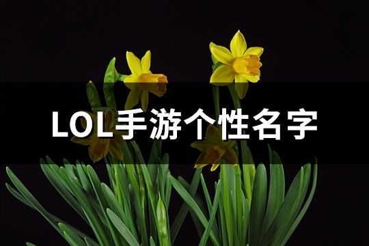 LOL手游个性名字(优选249个)