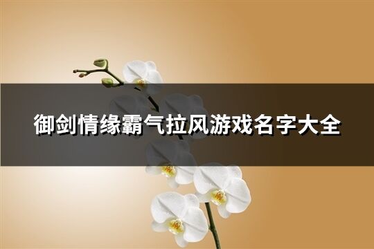 御剑情缘霸气拉风游戏名字大全(精选165个)