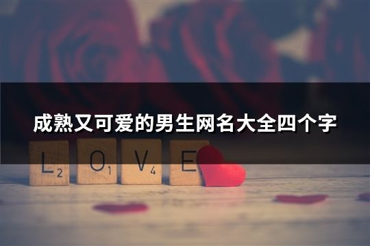 成熟又可爱的男生网名大全四个字(精选153个)