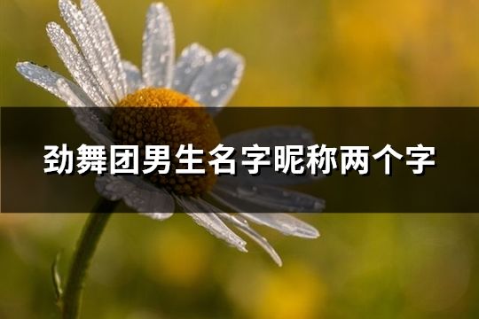 劲舞团男生名字昵称两个字(185个)