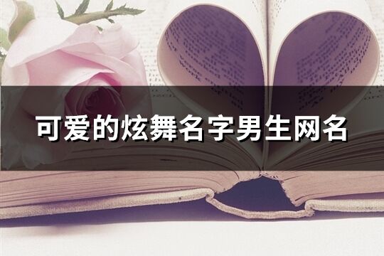 可爱的炫舞名字男生网名(精选193个)