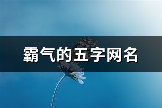 霸气的五字网名(共125个)
