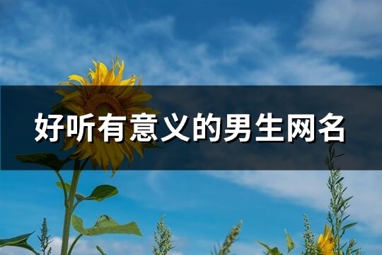 好听有意义的男生网名(67个)