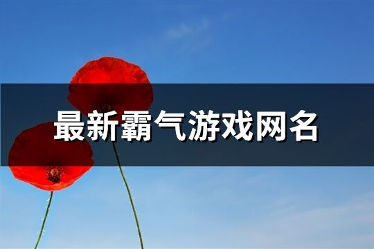 最新霸气游戏网名(124个)
