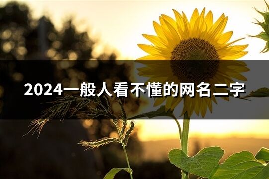 2024一般人看不懂的网名二字(共167个)
