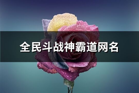 全民斗战神霸道网名(共80个)