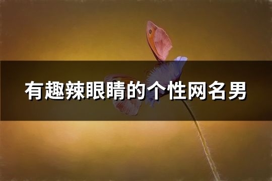 有趣辣眼睛的个性网名男(共108个)