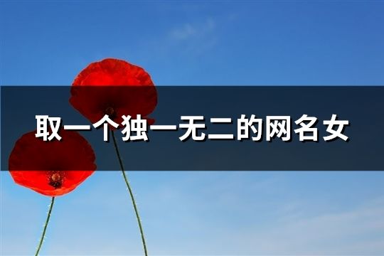 取一个独一无二的网名女(精选99个)