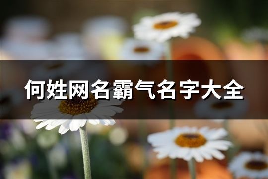 何姓网名霸气名字大全(133个)