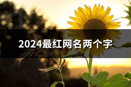 2024最红网名两个字(精选105个)