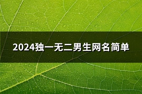 2024独一无二男生网名简单(共128个)