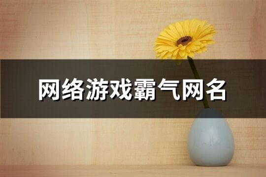 网络游戏霸气网名(共183个)