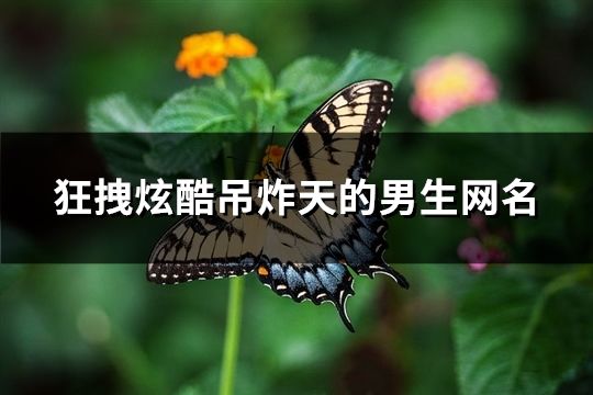 狂拽炫酷吊炸天的男生网名(190个)