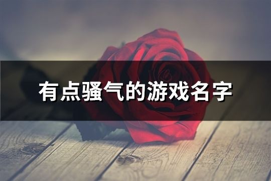 有点骚气的游戏名字(共386个)