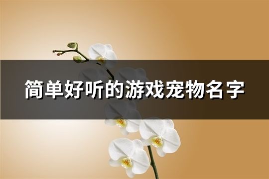 简单好听的游戏宠物名字(精选558个)