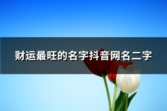 财运最旺的名字抖音网名二字(共53个)