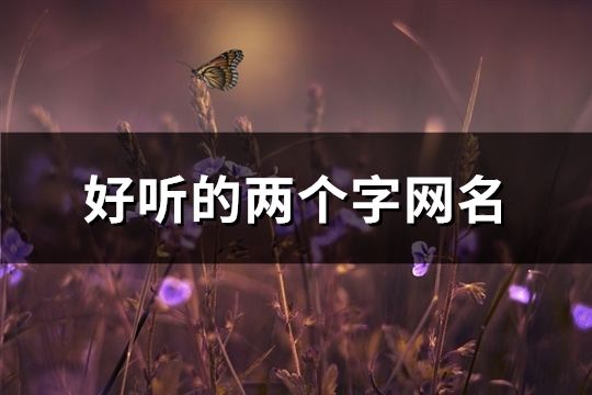 好听的两个字网名(1403个)