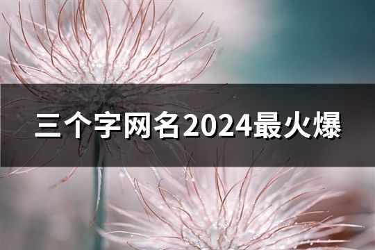 三个字网名2024最火爆(共210个)